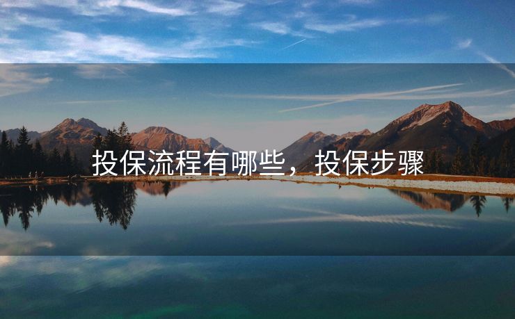 投保流程有哪些，投保步骤