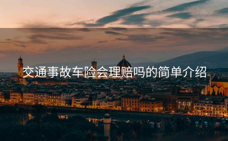 交通事故车险会理赔吗的简单介绍