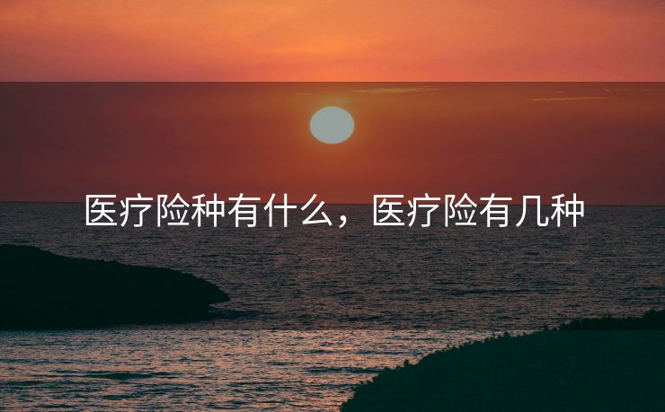 医疗险种有什么,医疗险有几种 医疗险种有什么,医疗险有几种