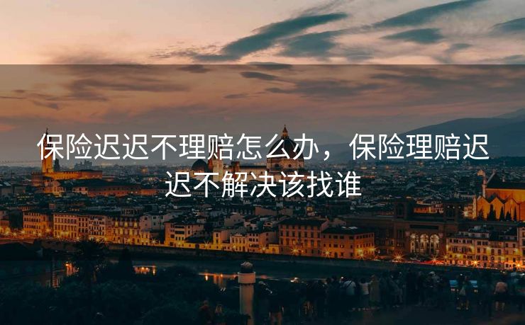 保险迟迟不理赔怎么办，保险理赔迟迟不解决该找谁