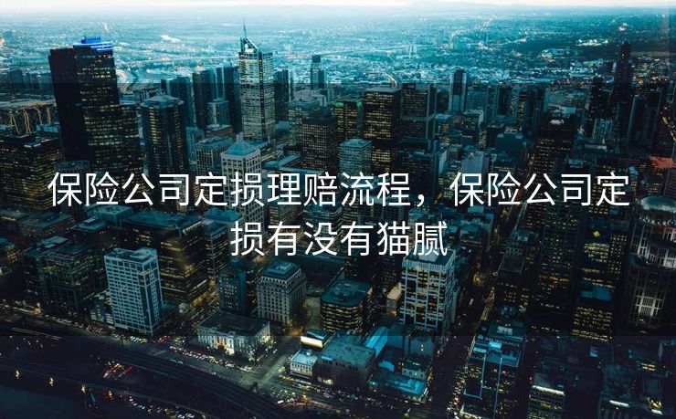 保险公司定损理赔流程，保险公司定损有没有猫腻