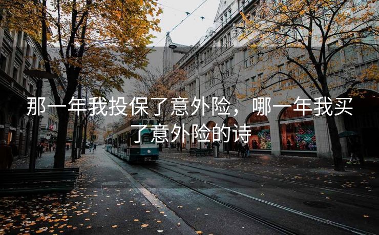 那一年我投保了意外险，哪一年我买了意外险的诗