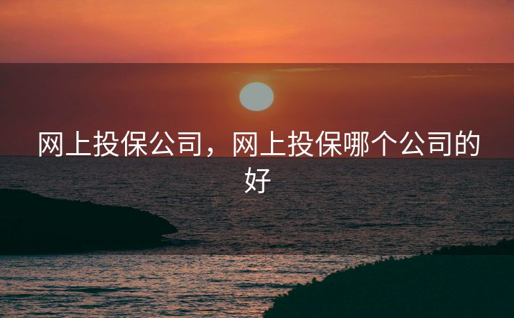 网上投保公司，网上投保哪个公司的好