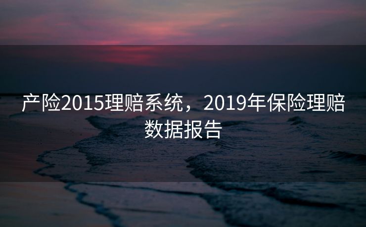 产险2015理赔系统，2019年保险理赔数据报告