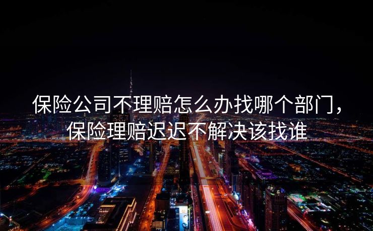 保险公司不理赔怎么办找哪个部门，保险理赔迟迟不解决该找谁