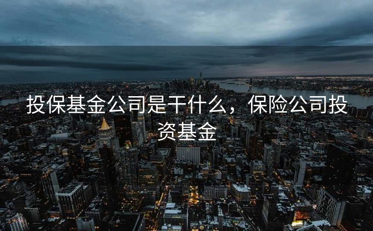 投保基金公司是干什么，保险公司投资基金