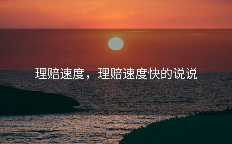 理赔速度，理赔速度快的说说