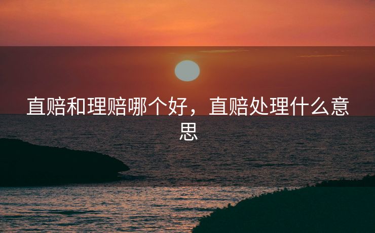 直赔和理赔哪个好，直赔处理什么意思
