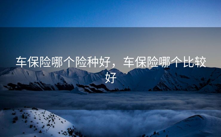 车保险哪个险种好，车保险哪个比较好