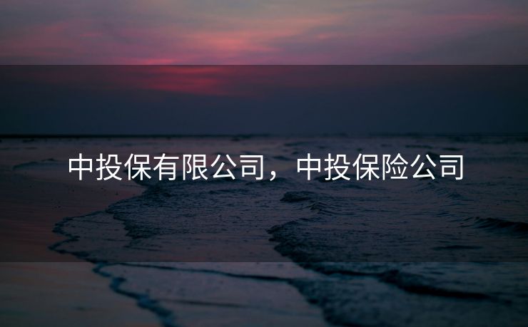 中投保有限公司，中投保险公司