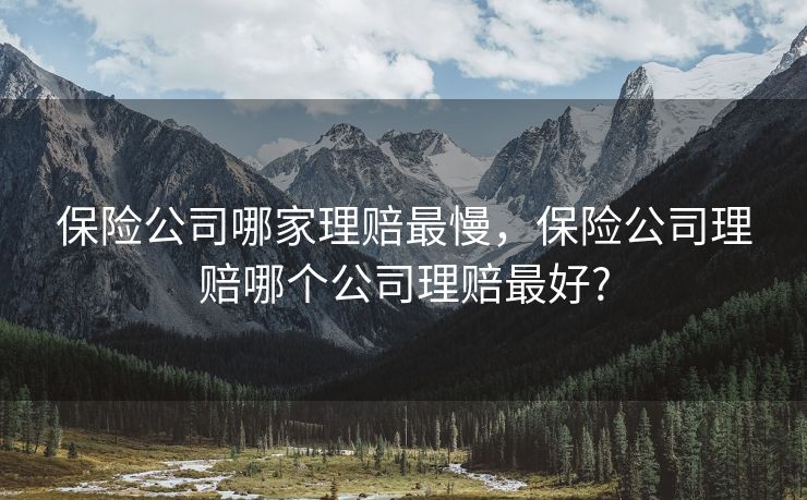保险公司哪家理赔最慢，保险公司理赔哪个公司理赔最好?