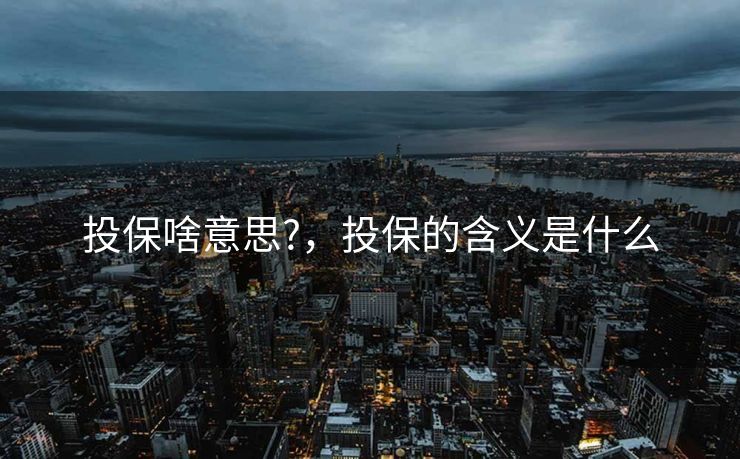 投保啥意思?，投保的含义是什么