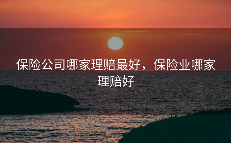 保险公司哪家理赔最好，保险业哪家理赔好