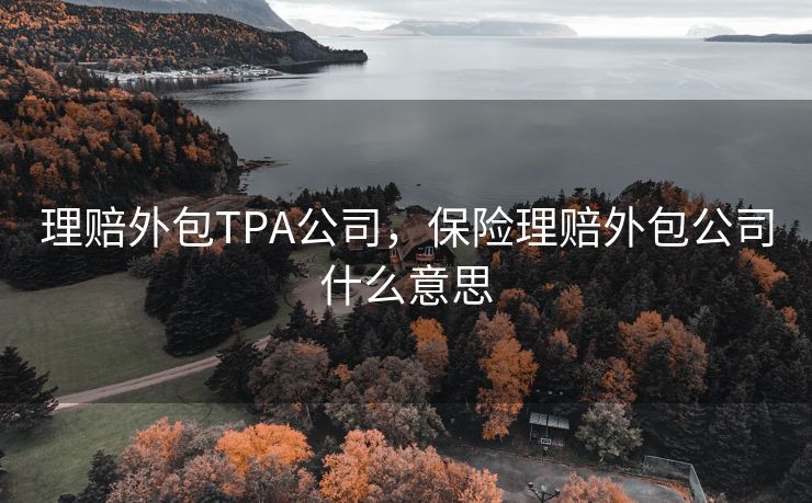 理赔外包TPA公司，保险理赔外包公司什么意思