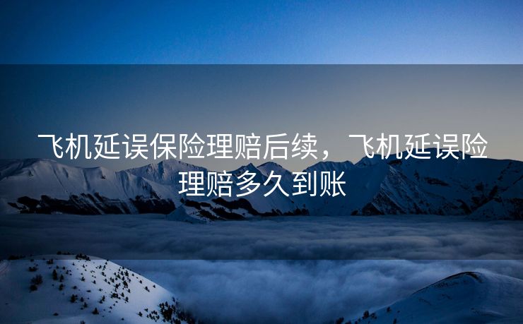 飞机延误保险理赔后续，飞机延误险理赔多久到账
