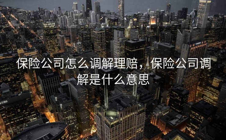 保险公司怎么调解理赔，保险公司调解是什么意思