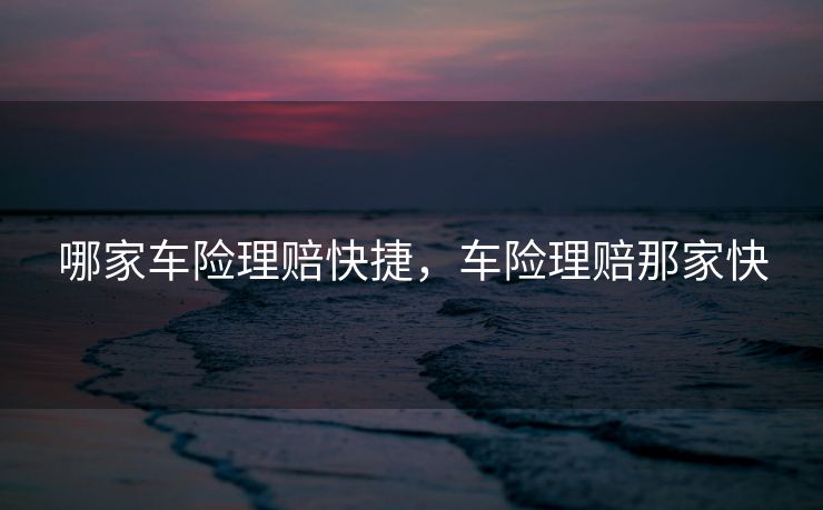 哪家车险理赔快捷，车险理赔那家快