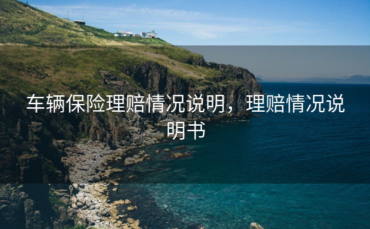 车辆保险理赔情况说明，理赔情况说明书