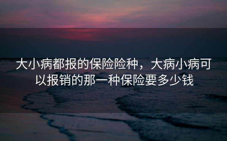 大小病都报的保险险种，大病小病可以报销的那一种保险要多少钱