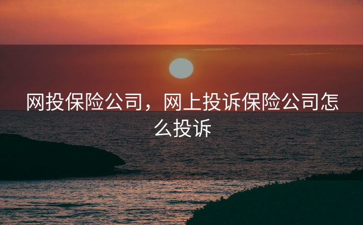 网投保险公司,网上投诉保险公司怎么投诉 网投保险公司,网上投诉保险公司怎么投诉