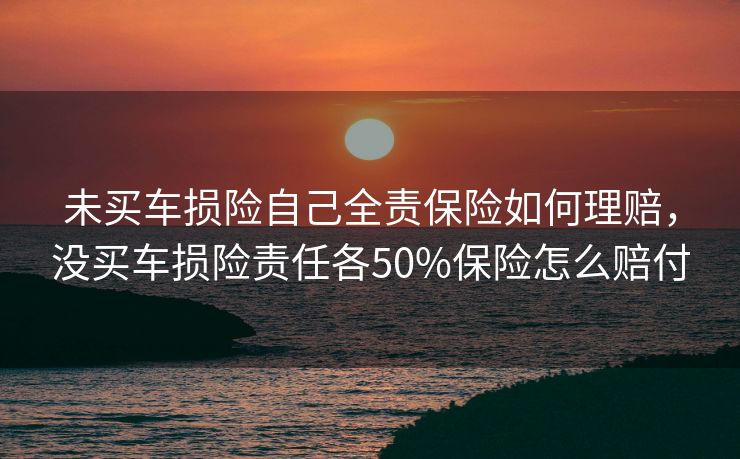 未买车损险自己全责保险如何理赔，没买车损险责任各50%保险怎么赔付