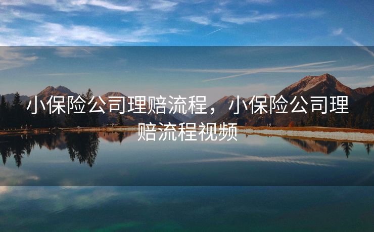 小保险公司理赔流程，小保险公司理赔流程视频