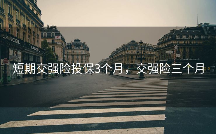 短期交强险投保3个月，交强险三个月