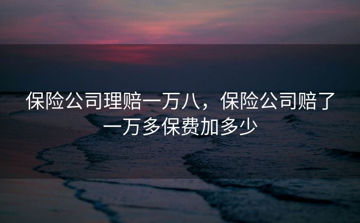 保险公司理赔一万八，保险公司赔了一万多保费加多少