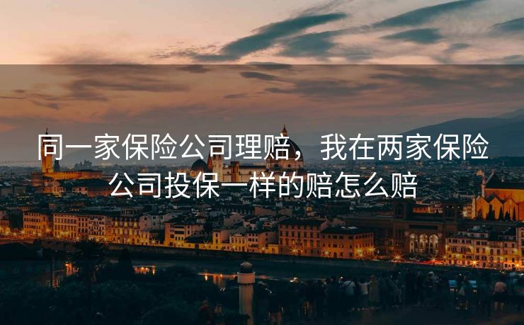 同一家保险公司理赔，我在两家保险公司投保一样的赔怎么赔