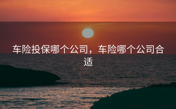 车险投保哪个公司，车险哪个公司合适