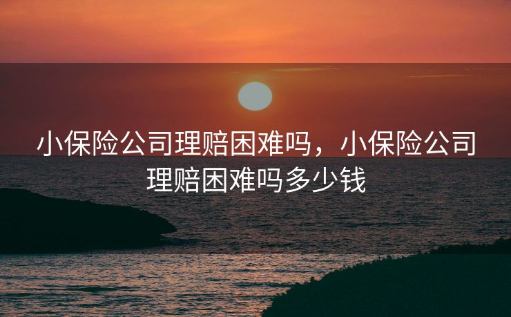 小保险公司理赔困难吗，小保险公司理赔困难吗多少钱