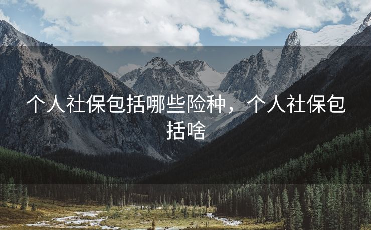 个人社保包括哪些险种，个人社保包括啥