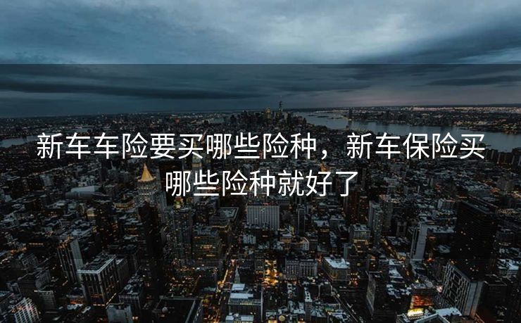 新车车险要买哪些险种，新车保险买哪些险种就好了