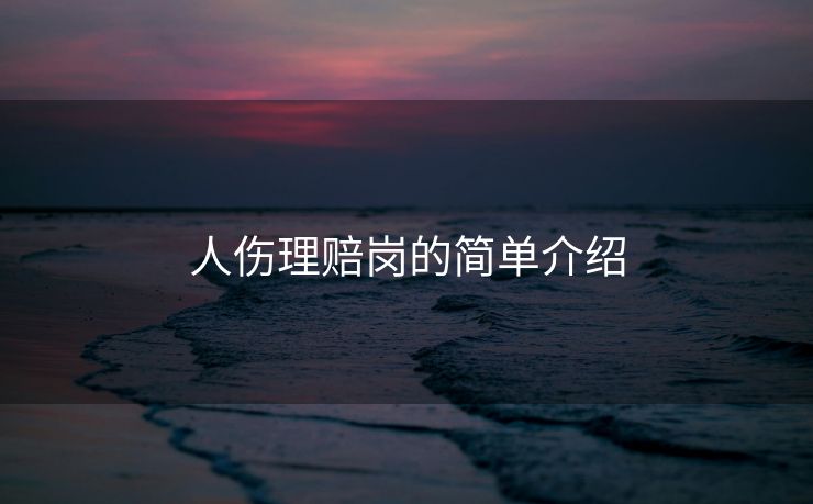 人伤理赔岗的简单介绍