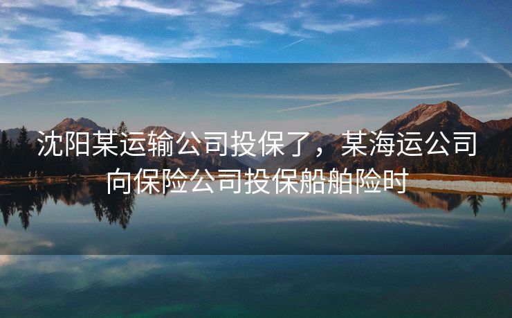 沈阳某运输公司投保了，某海运公司向保险公司投保船舶险时