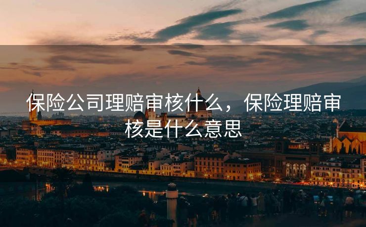 保险公司理赔审核什么，保险理赔审核是什么意思