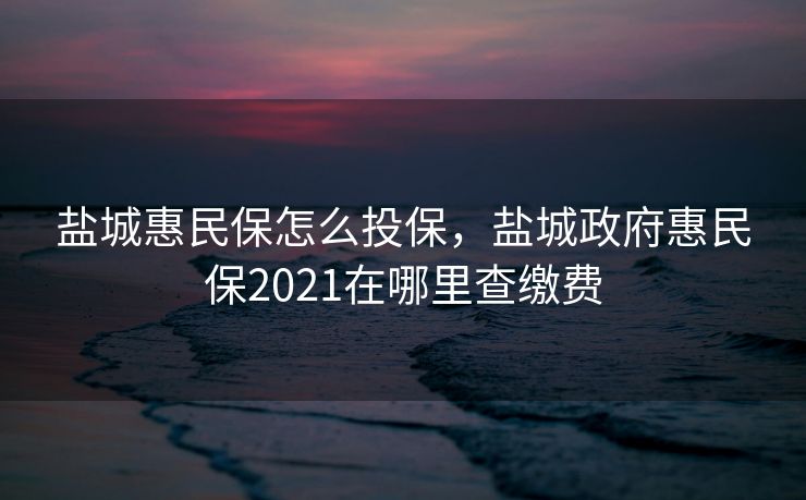 盐城惠民保怎么投保，盐城政府惠民保2021在哪里查缴费