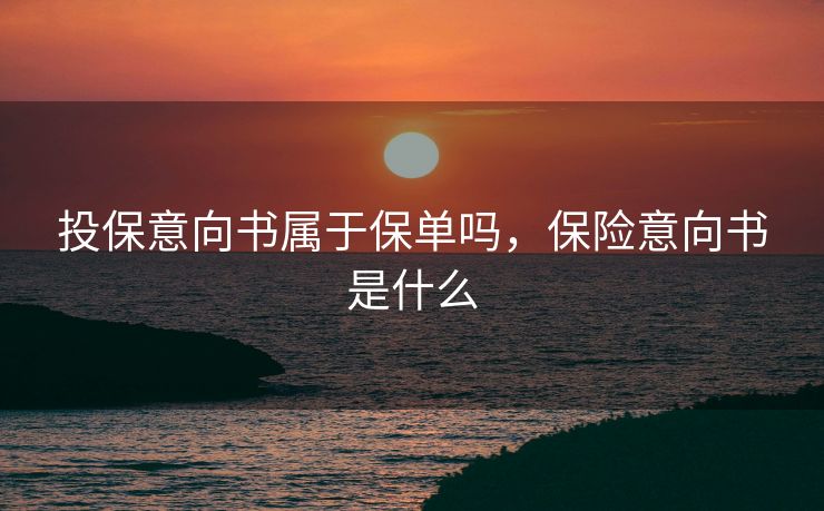 投保意向书属于保单吗，保险意向书是什么