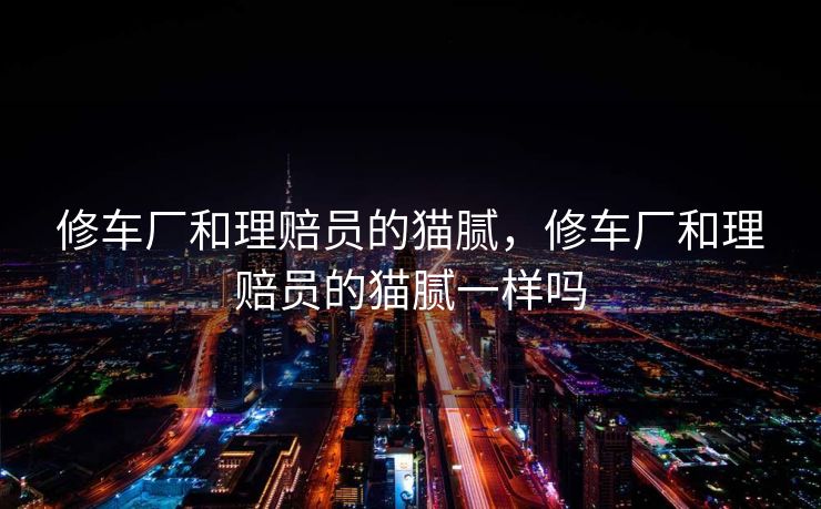 修车厂和理赔员的猫腻，修车厂和理赔员的猫腻一样吗