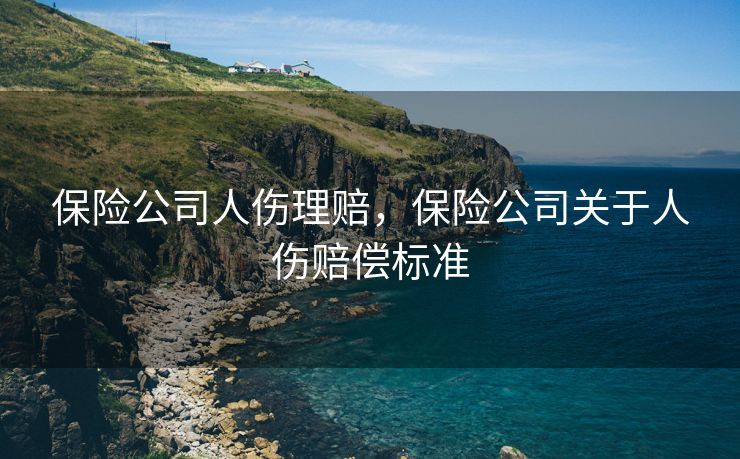 保险公司人伤理赔，保险公司关于人伤赔偿标准