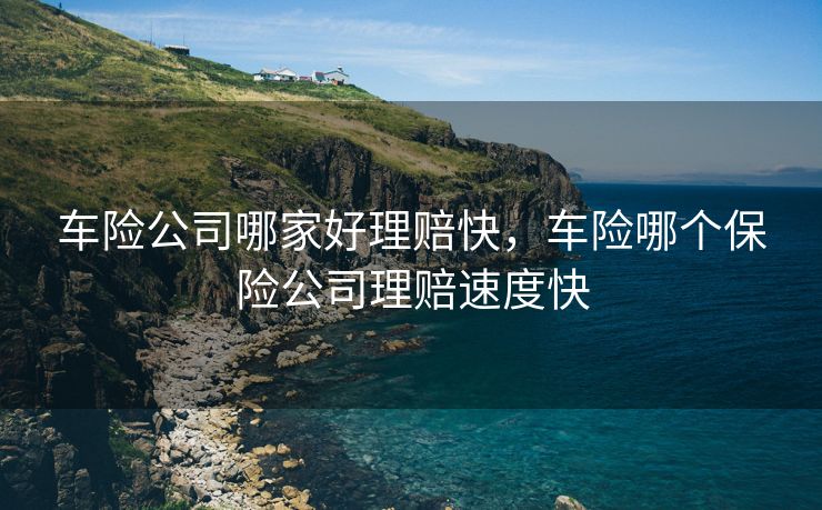 车险公司哪家好理赔快，车险哪个保险公司理赔速度快