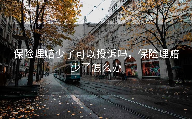 保险理赔少了可以投诉吗，保险理赔少了怎么办