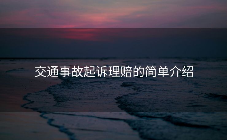 交通事故起诉理赔的简单介绍