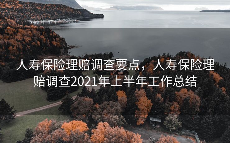 人寿保险理赔调查要点,人寿保险理赔调查2021年上半年工作总结 人寿保险理赔调查要点,人寿保险理赔调查2021年上半年工作总结