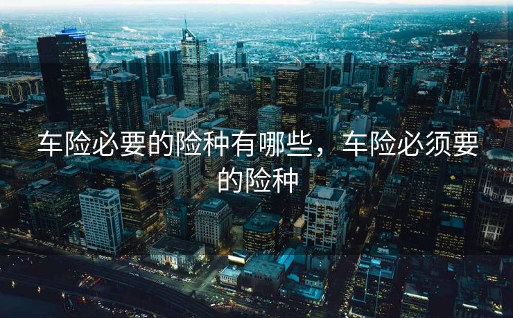 车险必要的险种有哪些，车险必须要的险种