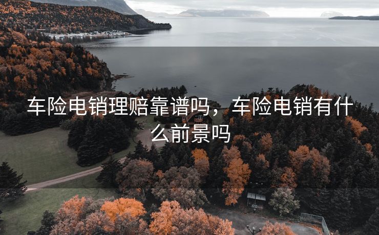 车险电销理赔靠谱吗，车险电销有什么前景吗