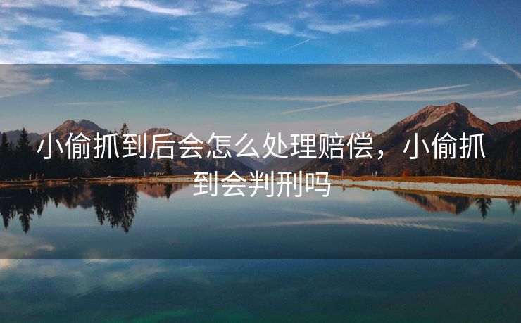 小偷抓到后会怎么处理赔偿，小偷抓到会判刑吗