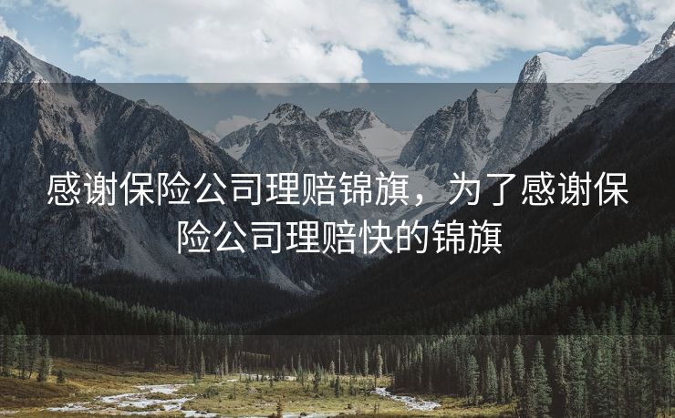 感谢保险公司理赔锦旗，为了感谢保险公司理赔快的锦旗