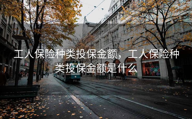 工人保险种类投保金额，工人保险种类投保金额是什么
