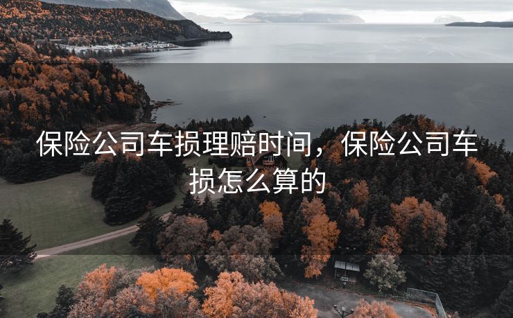 保险公司车损理赔时间，保险公司车损怎么算的